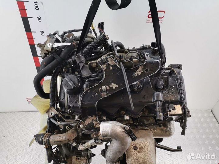 Двигатель (двс) Nissan Navara (D40) 2.5