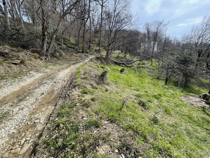 Участок 14 сот. (ИЖС)