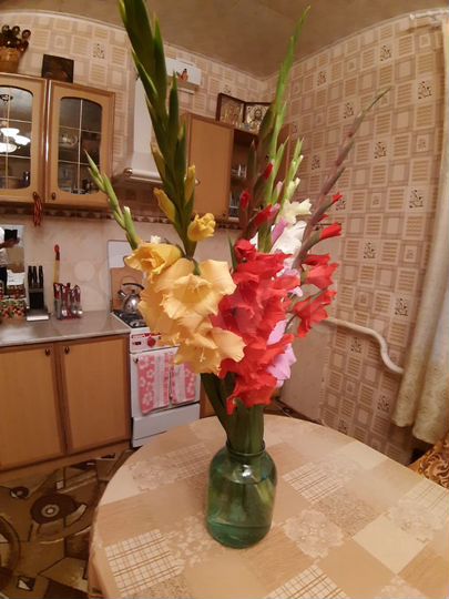 Коттедж 170 м² на участке 23 сот.