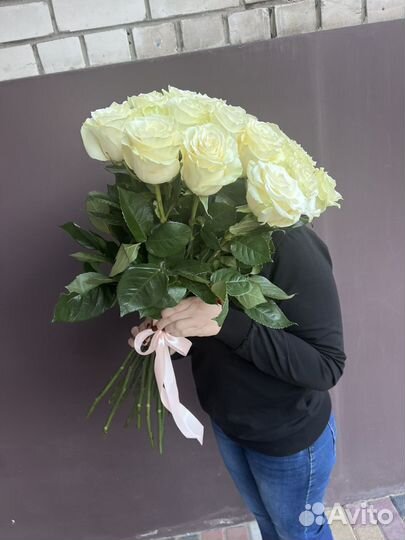 Шикарная голландская белая роза