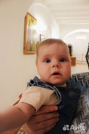 Начинающий фотограф