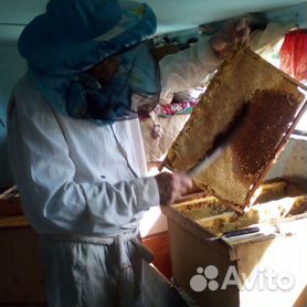 Как сделать павильон для пчёл своими руками