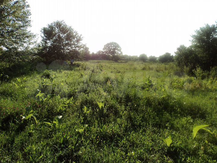 Участок 12 сот. (ИЖС)