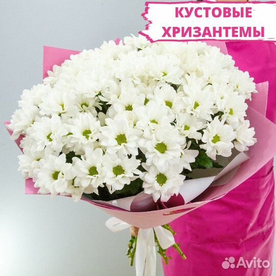 Цветы хризантемы доставка 24/7