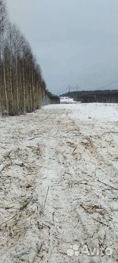 Услуги экскаватора(мульчер)