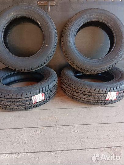 Lassa Competus H/L R16