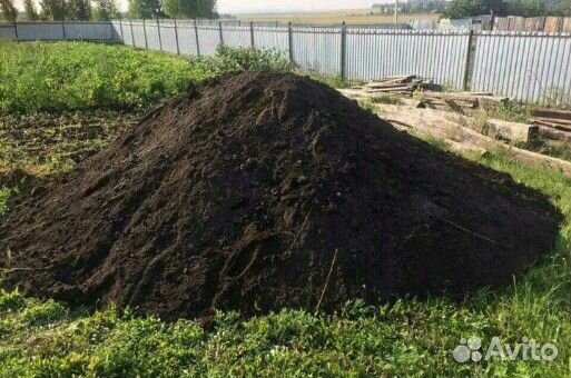 Земля для посадки