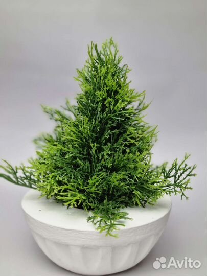 Можжевельник искусственный мини