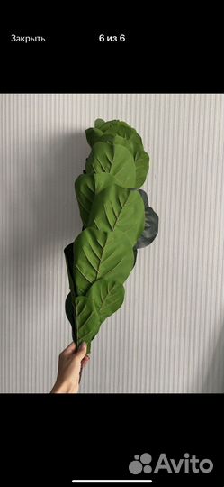 Искусственное растение Фикус каучуконосный