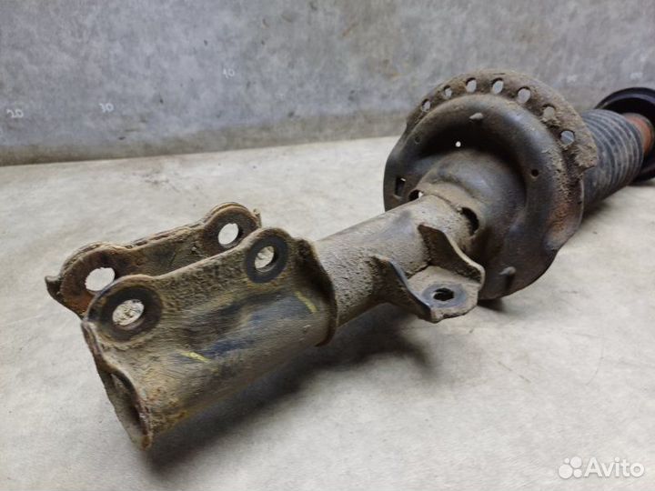 Амортизатор передний правый Hyundai Solaris 1.6 MT