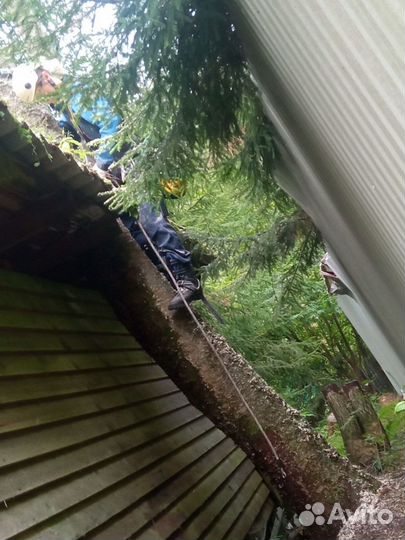 Спил, удаление деревьев по частям, удаление пней