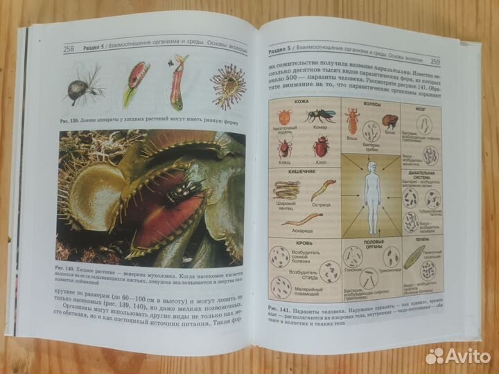 Учебник биологии 9 класс Мамонтов