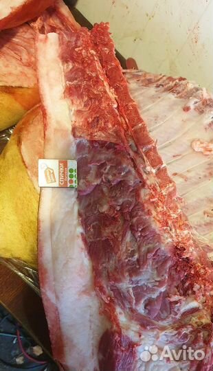 Мясо свинина домашняя