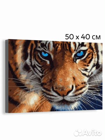 Картины по номерам 40х50