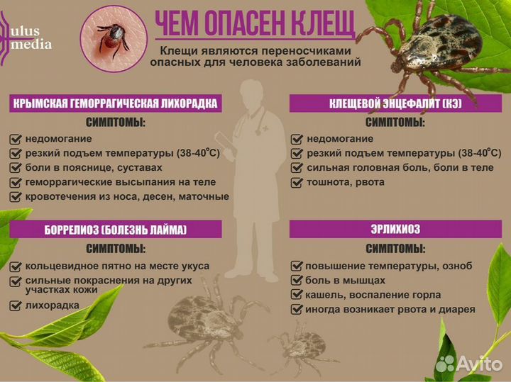 Обработка участков от комаров, клещей, мух