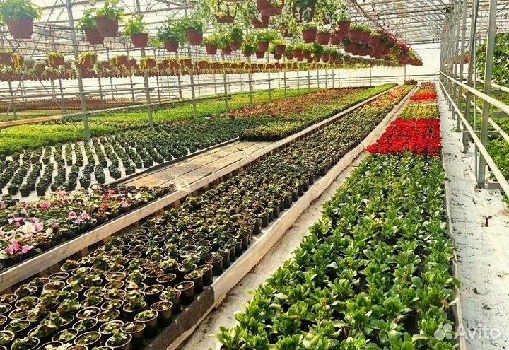 Теплица из поликарбоната