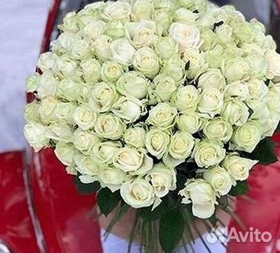 101 Роза Цветы Букеты 51 25 Роз Доставка