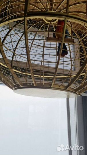 Клетка для попугая