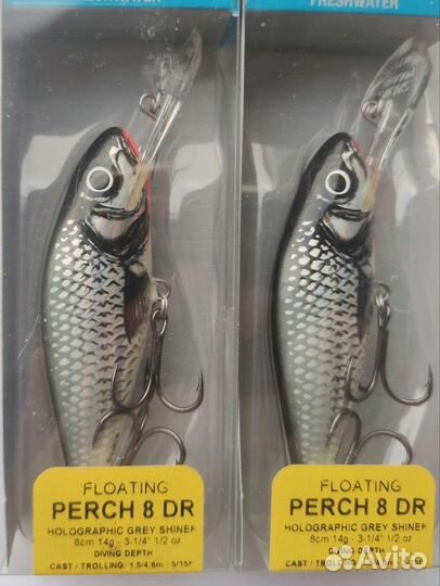 Salmo perch 8DR-HGS