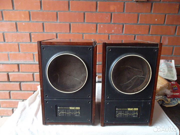 Колонки 10 ас 203