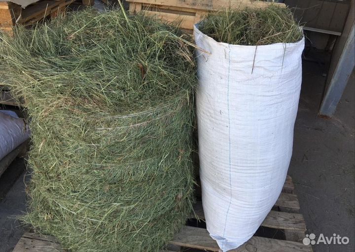 Сено, солома