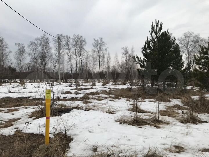 Участок 15 сот. (ИЖС)