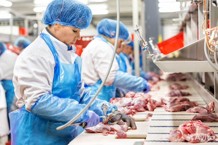 Оплата каждую неделю на птицефабрике Челябинск