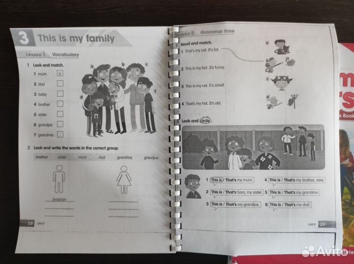 Academy stars все части