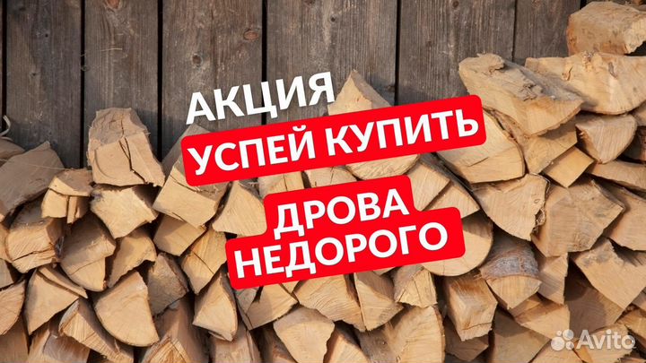 Дрова