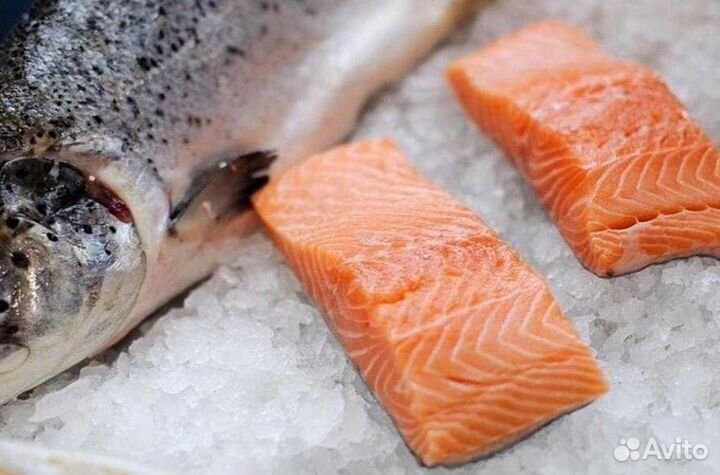 10 мая привоз живой рыбы - -4+ кг форель