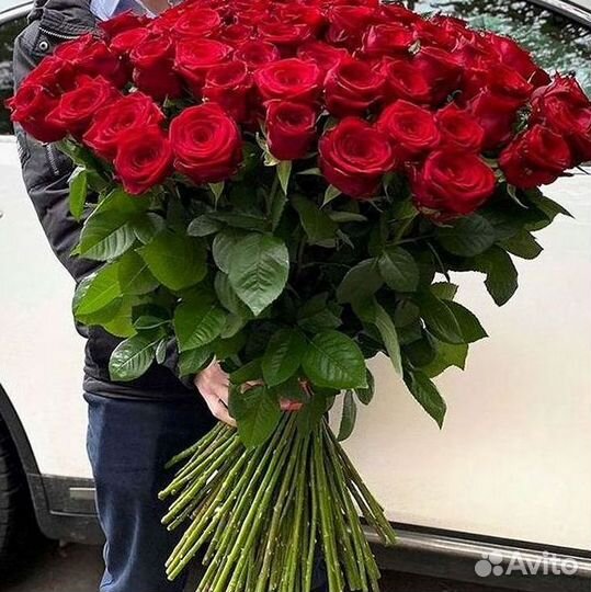 101 Роза Цветы Букеты 51 25 Роз Доставка