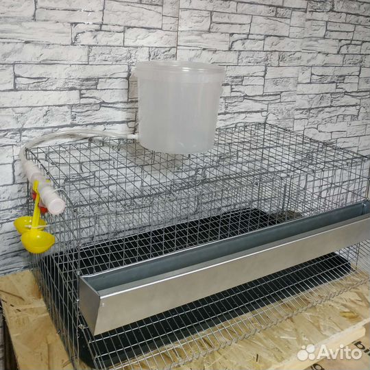 Клетка для перепелов