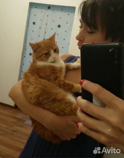 Зооняня/уход за животными/уколы/зоотакси