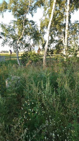 Коттедж 170 м² на участке 10 сот.