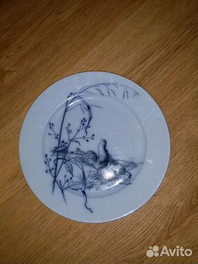 Тарелка 19 век/ Винтаж, английский фарфор,BWM&Co