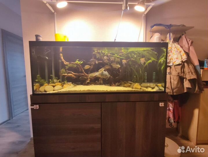 Аквариум