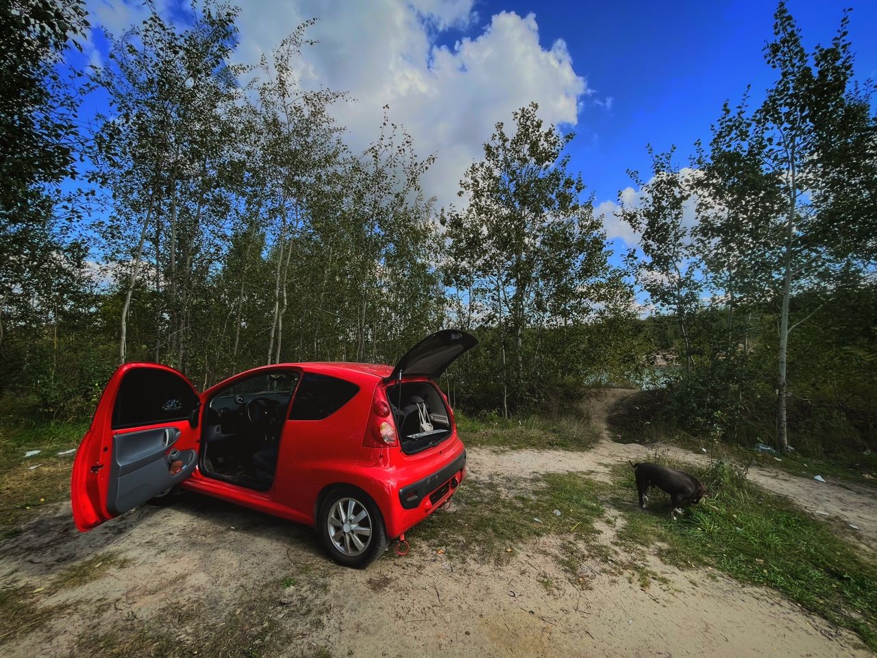 Peugeot 107: фото владельца