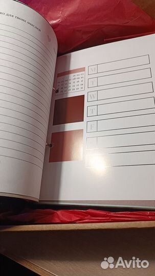 Ежедневник Драмиона