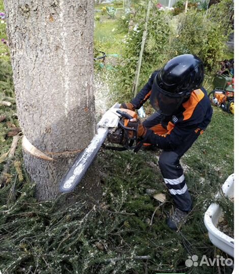 Спил и удаление деревьев