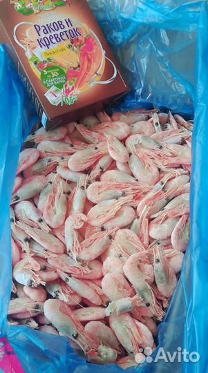 Креветки Мурманские