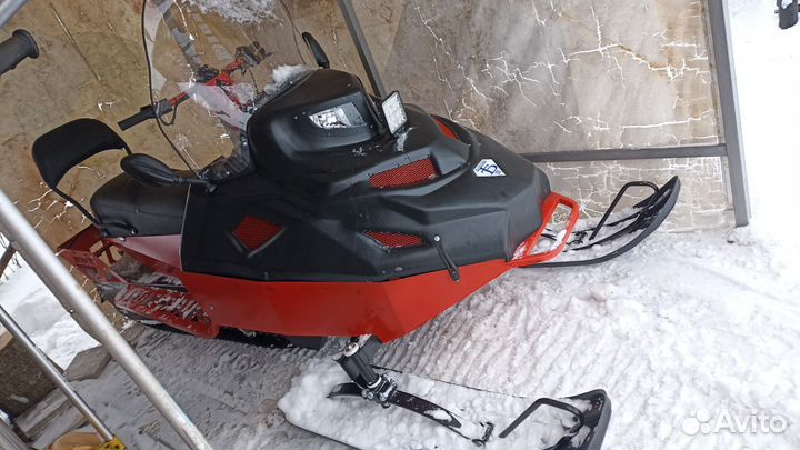 Бурлак Беркут