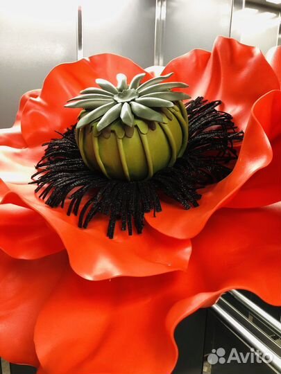 Ростовые маки (аренда/продажа)