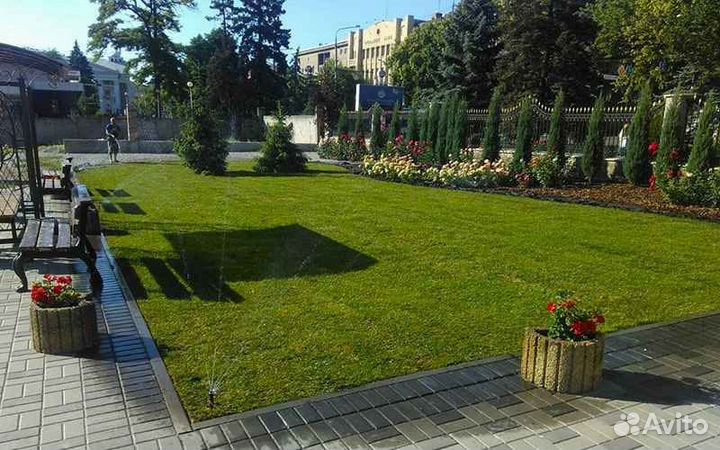 Рулонный газон от производителя