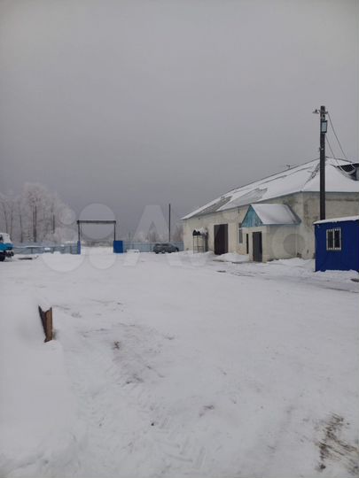 Свободного назначения, 629 м²