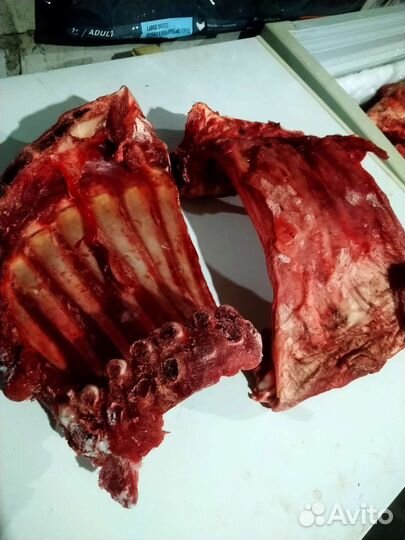 Мясо И ливер для собак И кошек