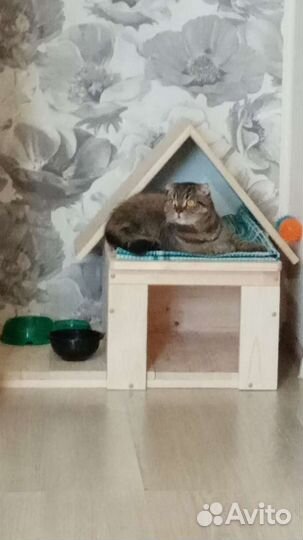 Эко дом для кошек