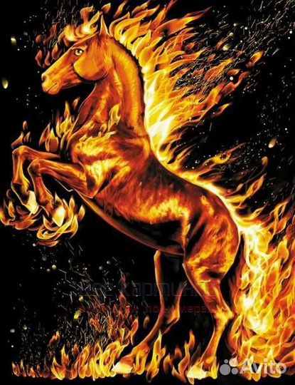 Алмазная мозаика 40x50 Горящий скакун