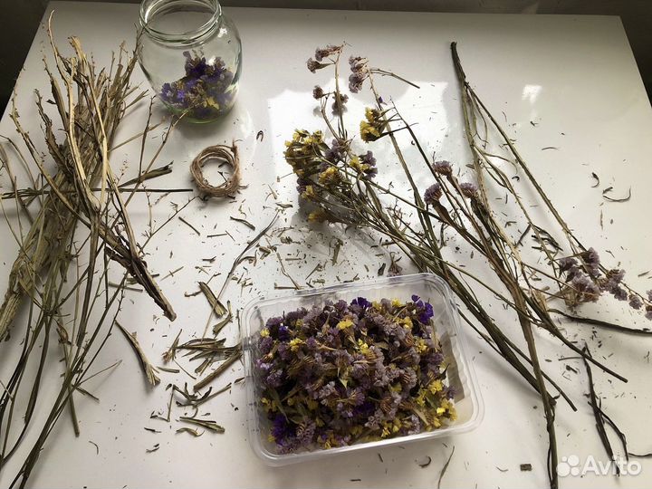 Цветы сухоцветы
