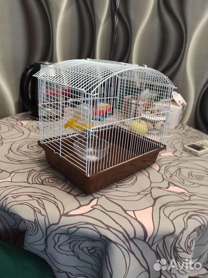 Клетка для грызунов маленькая