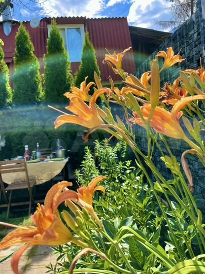 Дом 65,5 м² на участке 2 сот.